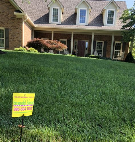Transform your lawn into a haven with Enerald magic lawn care in Holtzville.